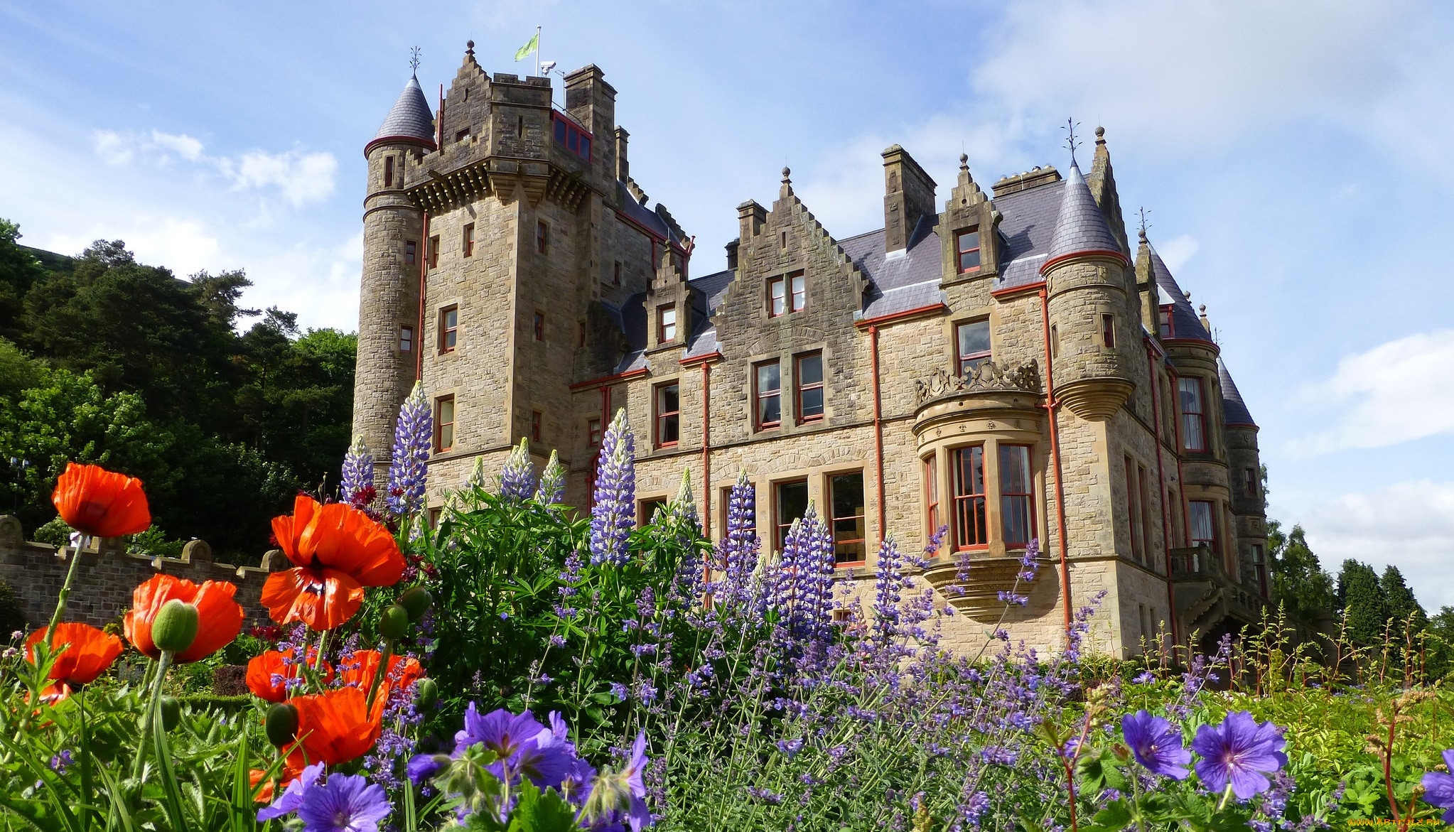 belfast castle, ,  , , , 